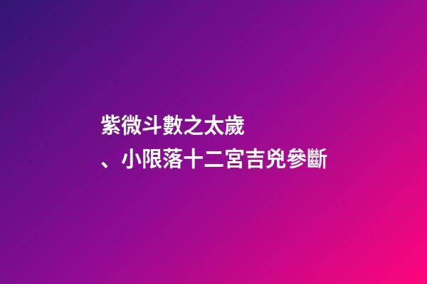 紫微斗數之太歲、小限落十二宮吉兇參斷